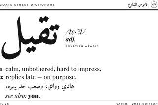 “Street Dictionary: «تقيل»” design
